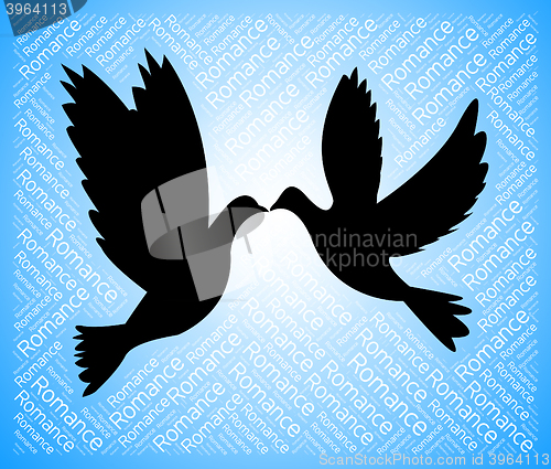 Image of Dating Doves Indicates Sweetheart Relationship And Internet