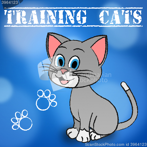 Image of Training Cats Shows Teaching Instruct And Trained