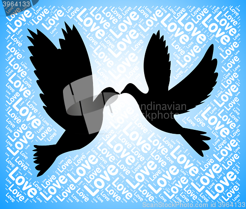 Image of Love Doves Means Tenderness Loving And Affection