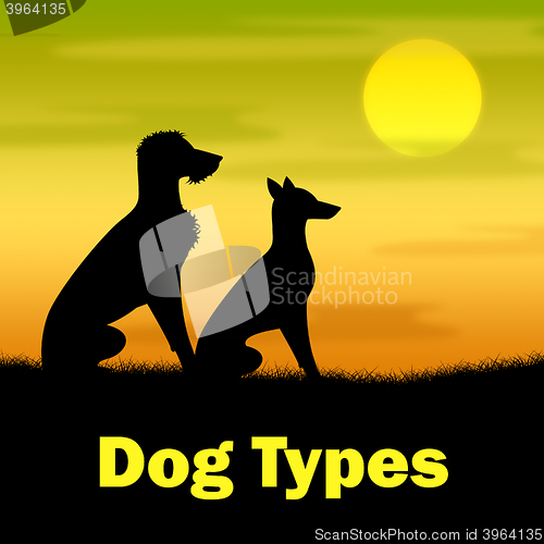 Image of Dog Types Represents Pups Categories And Variety
