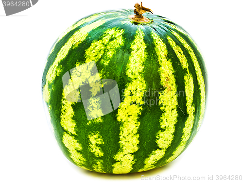 Image of Big Watermelon 