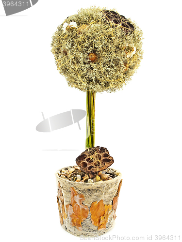 Image of Decorative Tree