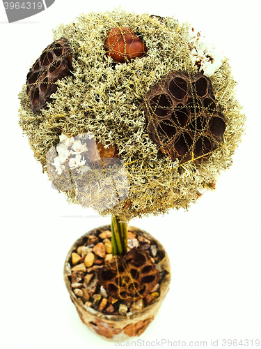 Image of Decorative Tree