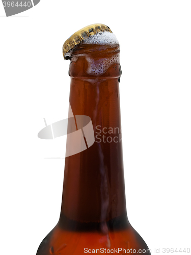 Image of Beer