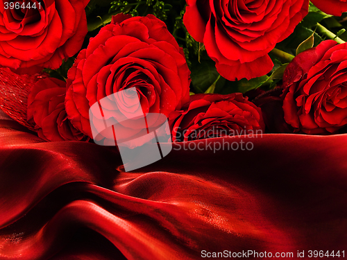 Image of Roses