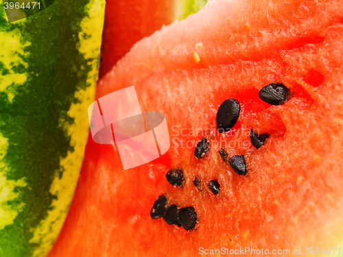 Image of Watermelon