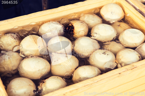 Image of food sale at street market