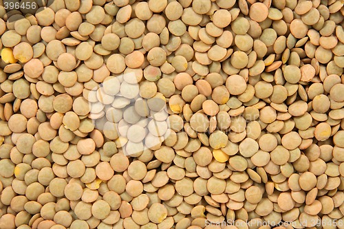 Image of Green lentils background