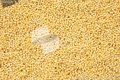 Image of Millet background