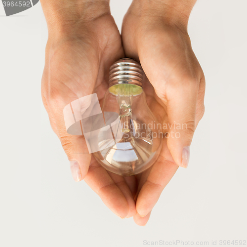 Image of close up of hands holding edison lamp or lightbulb