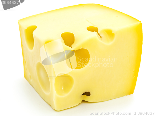 Image of Cheese