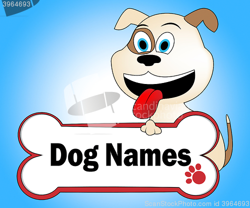 Image of Dog Names Represents Pup Canines And Doggie