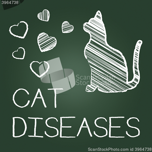 Image of Cat Diseases Indicates Puss Kitten And Kitty