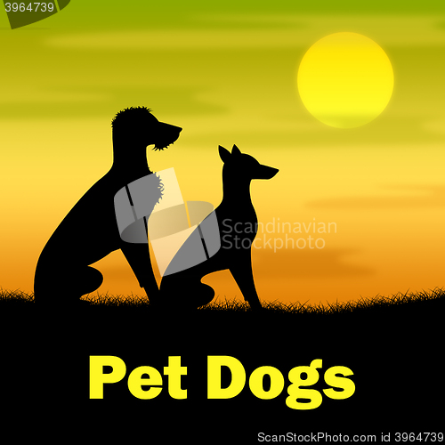 Image of Pet Dogs Represents Domestic Animals And Canine