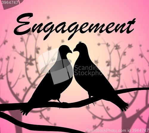 Image of Engagement Doves Shows Couple Engaged And Commitment