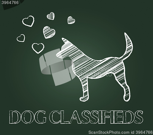 Image of Dog Classifieds Indicates Advertisement Doggy And Purebred