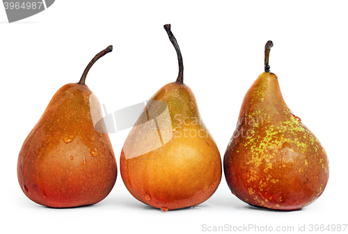 Image of Juicy Ripe Pears