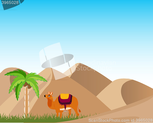 Image of Oasis in desert
