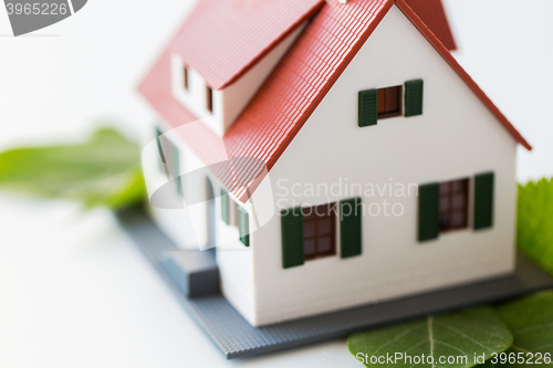 Image of close up of house model and green leaves