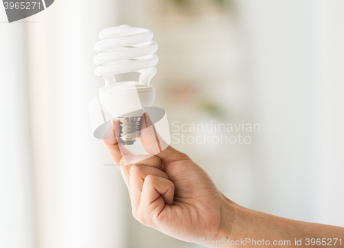 Image of close up of hand holding energy saving lightbulb