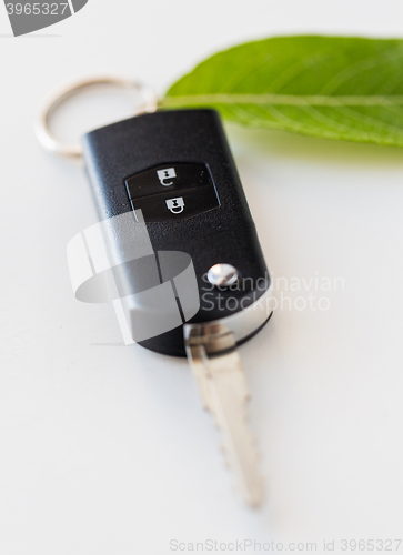 Image of close up of car key and green leaf