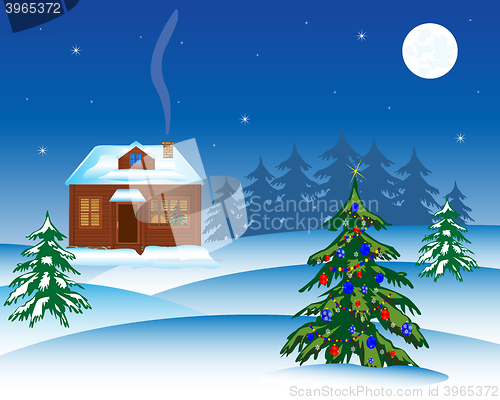 Image of Natty fir tree in winter