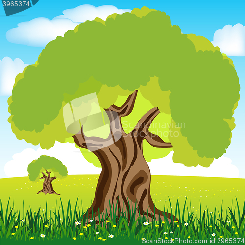 Image of Tree on glade