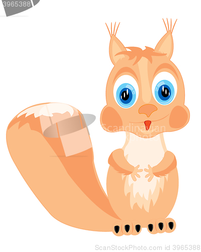 Image of Cartoon of the squirrel on white background