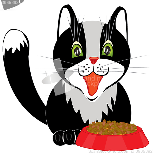 Image of Cat and tureen with meal