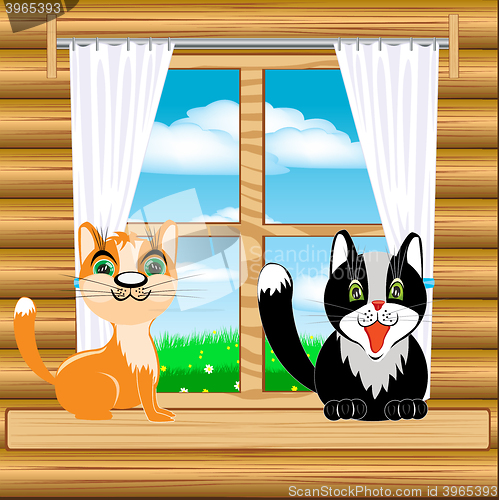 Image of Cats on window