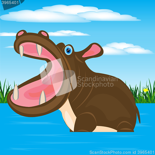 Image of Hippopotamus in water