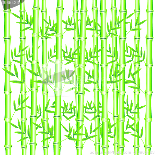Image of Background from bamboo