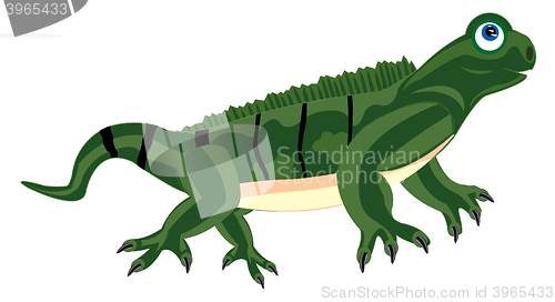 Image of Pangolin iguana on white background