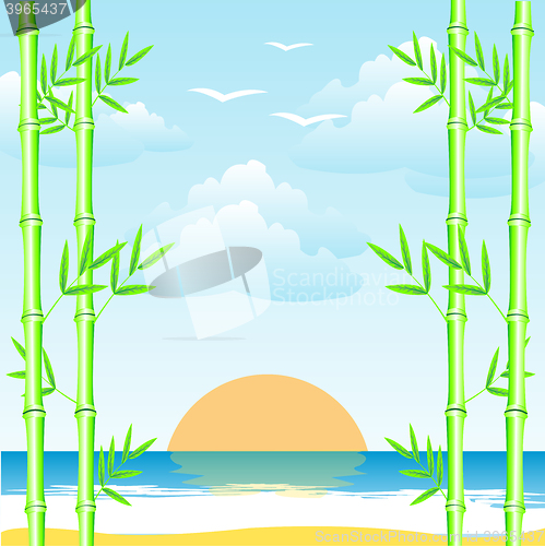 Image of Sea and bamboo grove