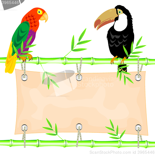 Image of Poster and tropical birds