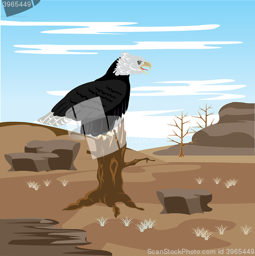 Image of Lifeless desert and eagle on tree