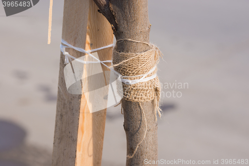 Image of Garter sapling tree with a rope to a wooden bar