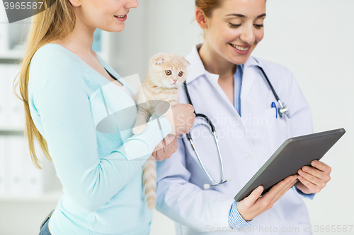 Image of close up of vet with tablet pc and cat at clinic