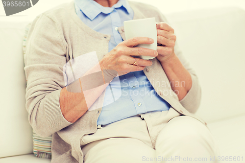 Image of close up of senior woman with tea  cup at home