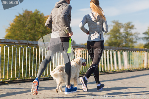 Image of close up of couple with dog running outdoors