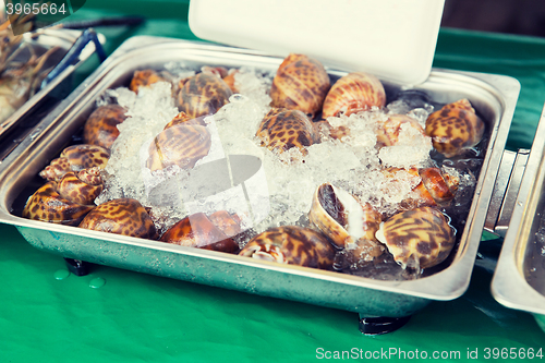 Image of snails or seafood on ice at asian street market