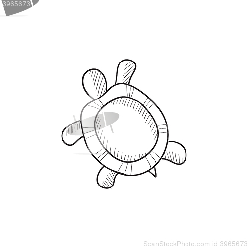 Image of Turtle sketch icon.