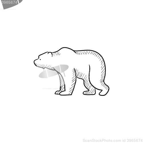 Image of Bear sketch icon.