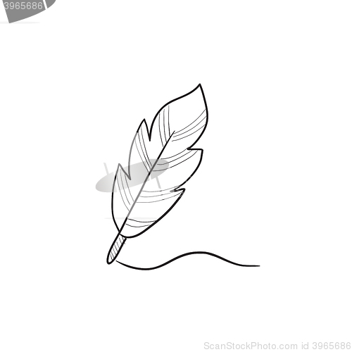 Image of Feather sketch icon.