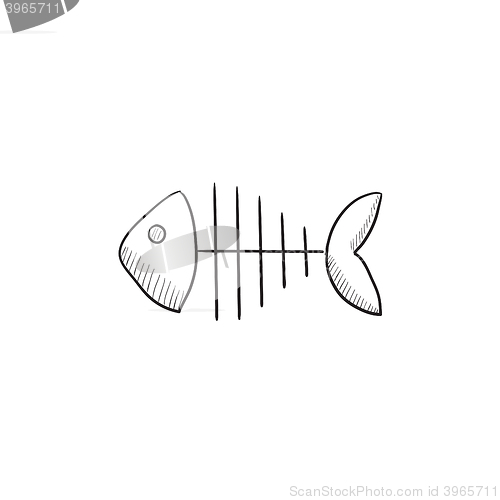 Image of Fish skeleton sketch icon.