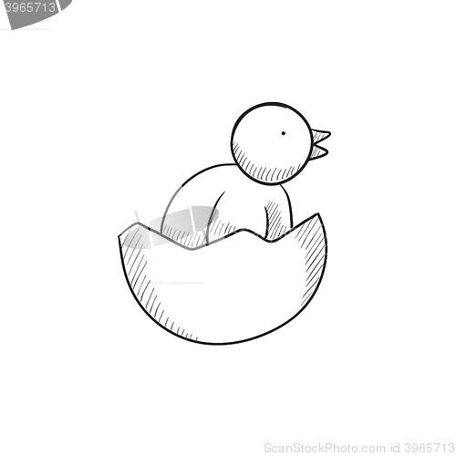 Image of Chick peeking out of egg shell sketch icon.