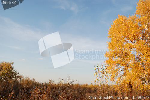 Image of autumn landscape
