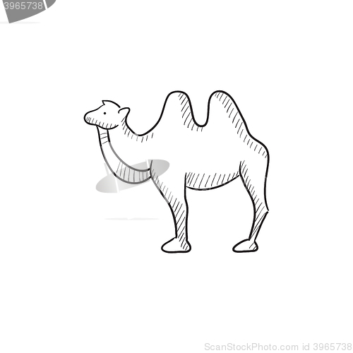 Image of Camel sketch icon.