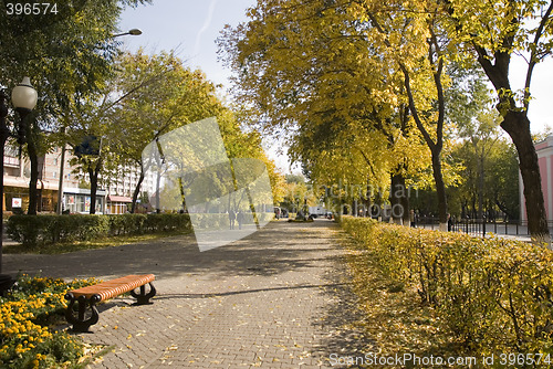 Image of autumn street