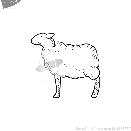 Image of Sheep sketch icon.